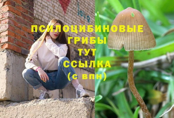 гидропоника Кодинск