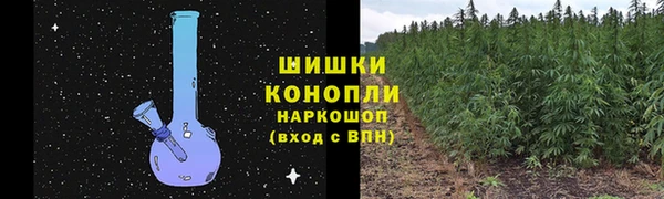 трава Козельск