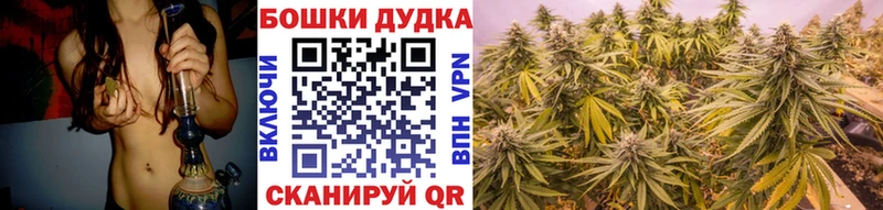 Купить  Покачи  Каннабис гибрид 